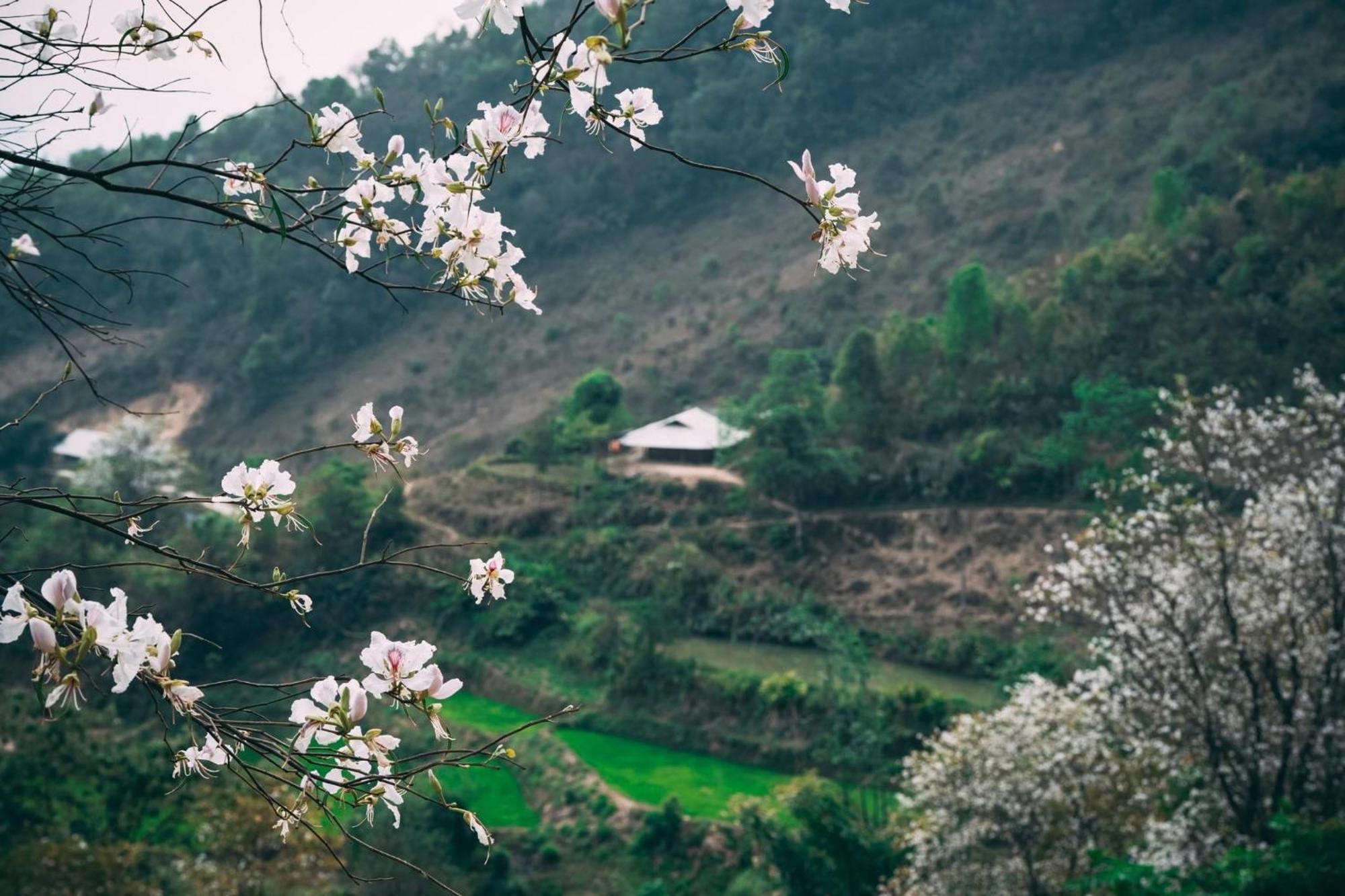 Minh Ngoc Homestay Dien Bien Phu Ban Hin Lom Kültér fotó