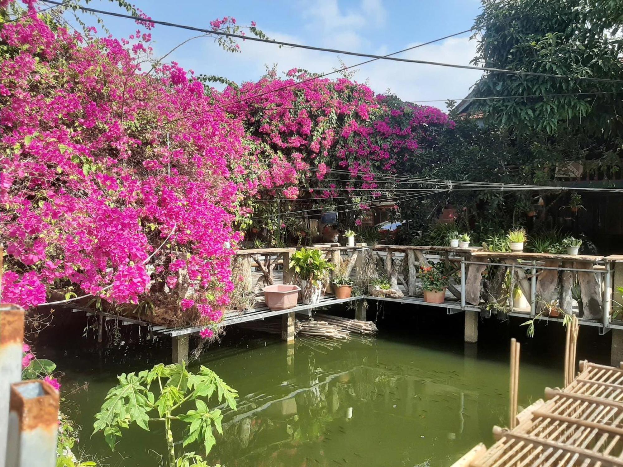 Minh Ngoc Homestay Dien Bien Phu Ban Hin Lom Kültér fotó