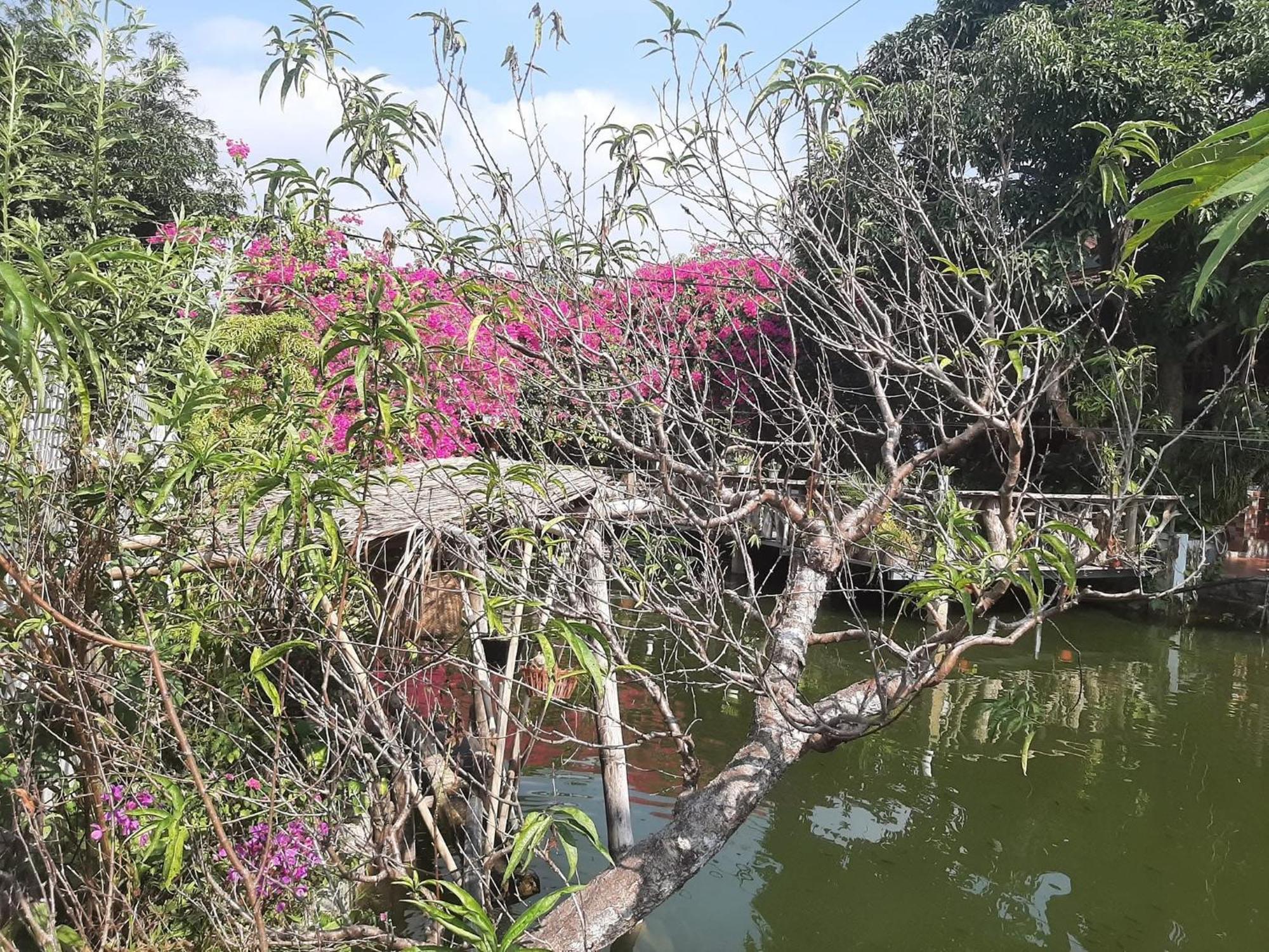 Minh Ngoc Homestay Dien Bien Phu Ban Hin Lom Kültér fotó