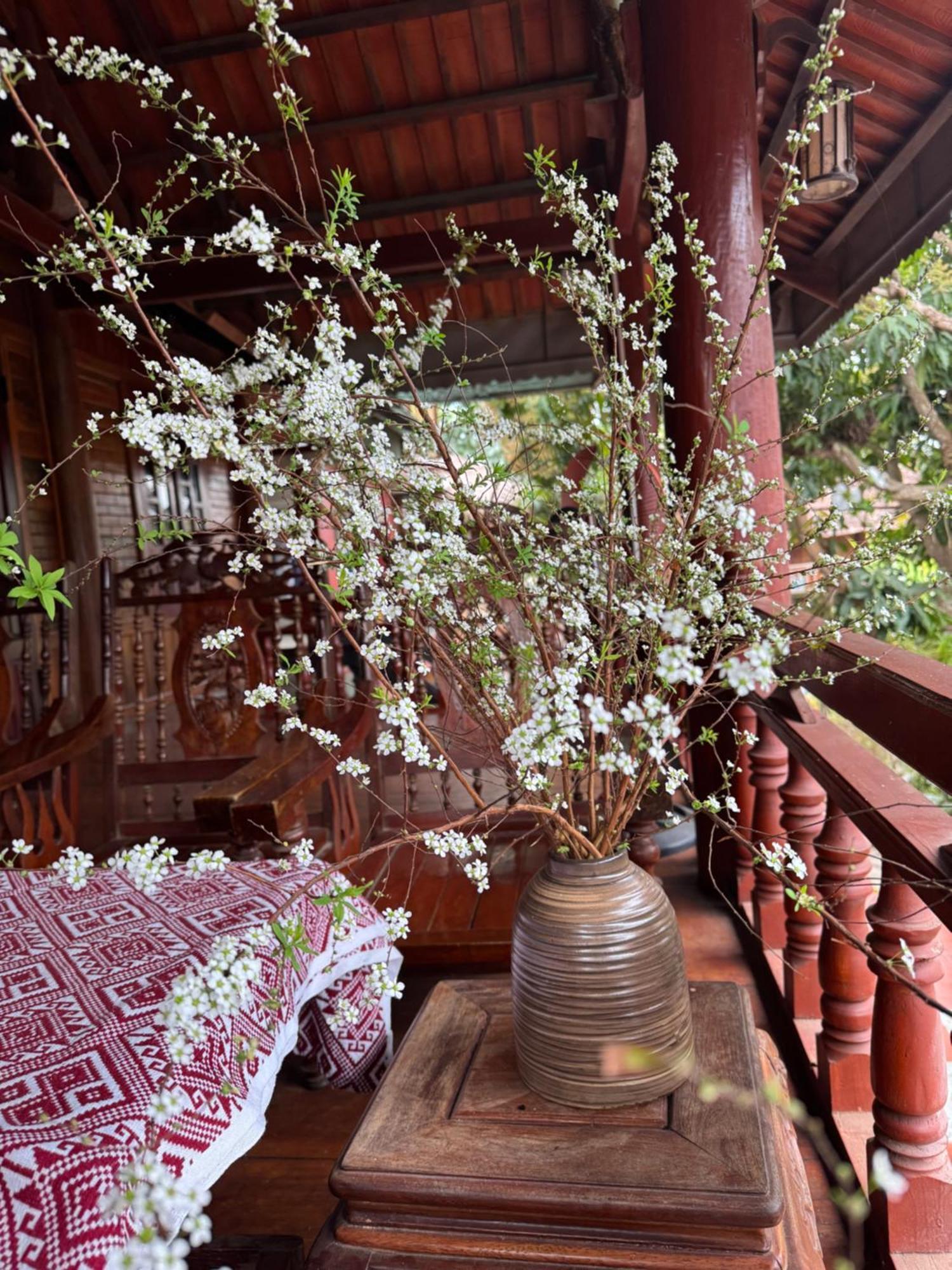 Minh Ngoc Homestay Dien Bien Phu Ban Hin Lom Kültér fotó