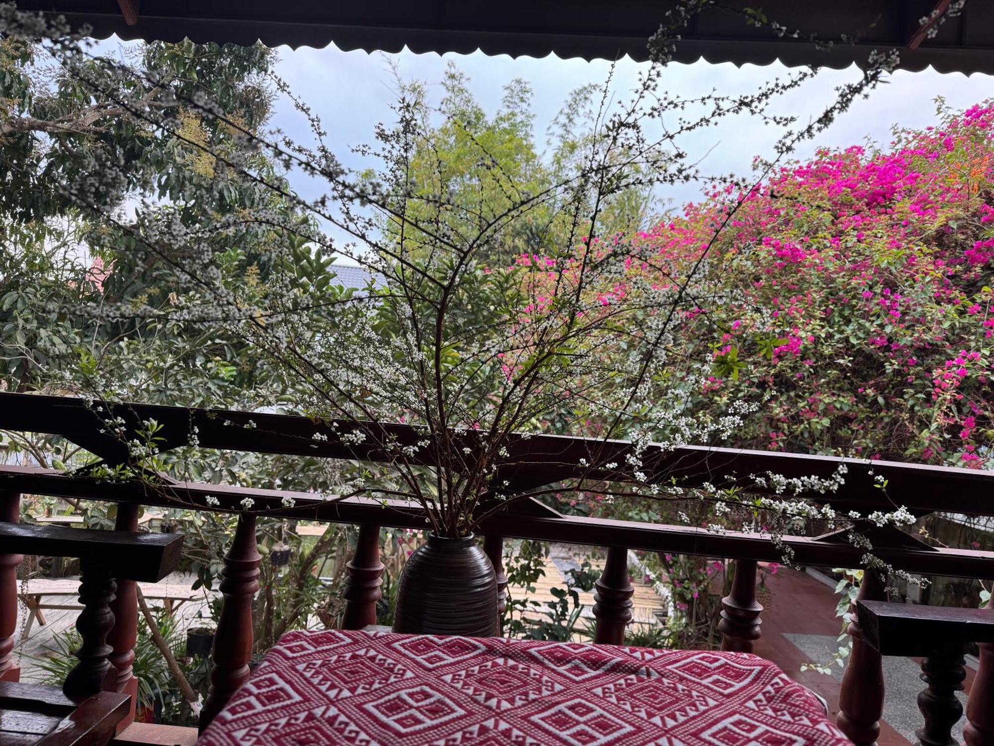 Minh Ngoc Homestay Dien Bien Phu Ban Hin Lom Kültér fotó